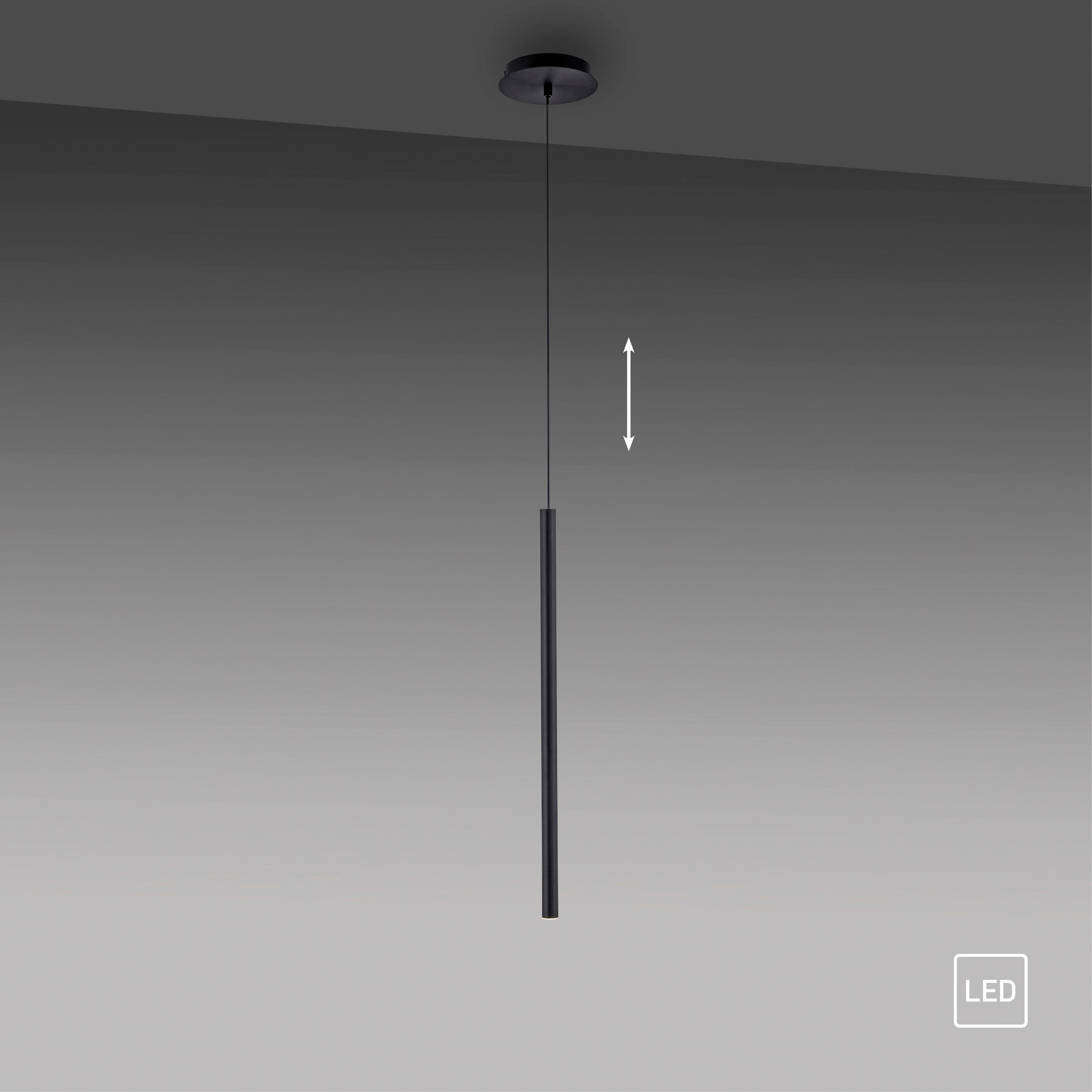 Paul Neuhaus Pendelleuchte »FLUTE« LED-Board 1 Stk. Warmweiß