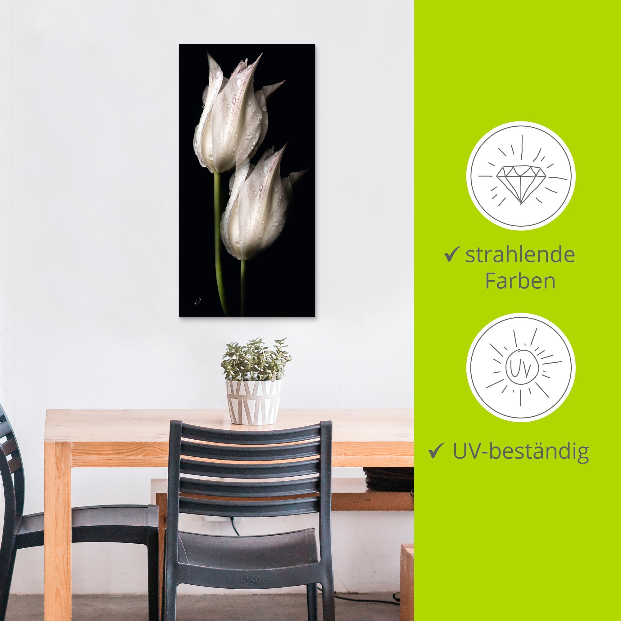 Artland Wandbild »Weiße Tulpen in der Nacht«, Blumenbilder, (1 St.), als Alubild, Outdoorbild, Leinwandbild, Poster, Wandaufkleber