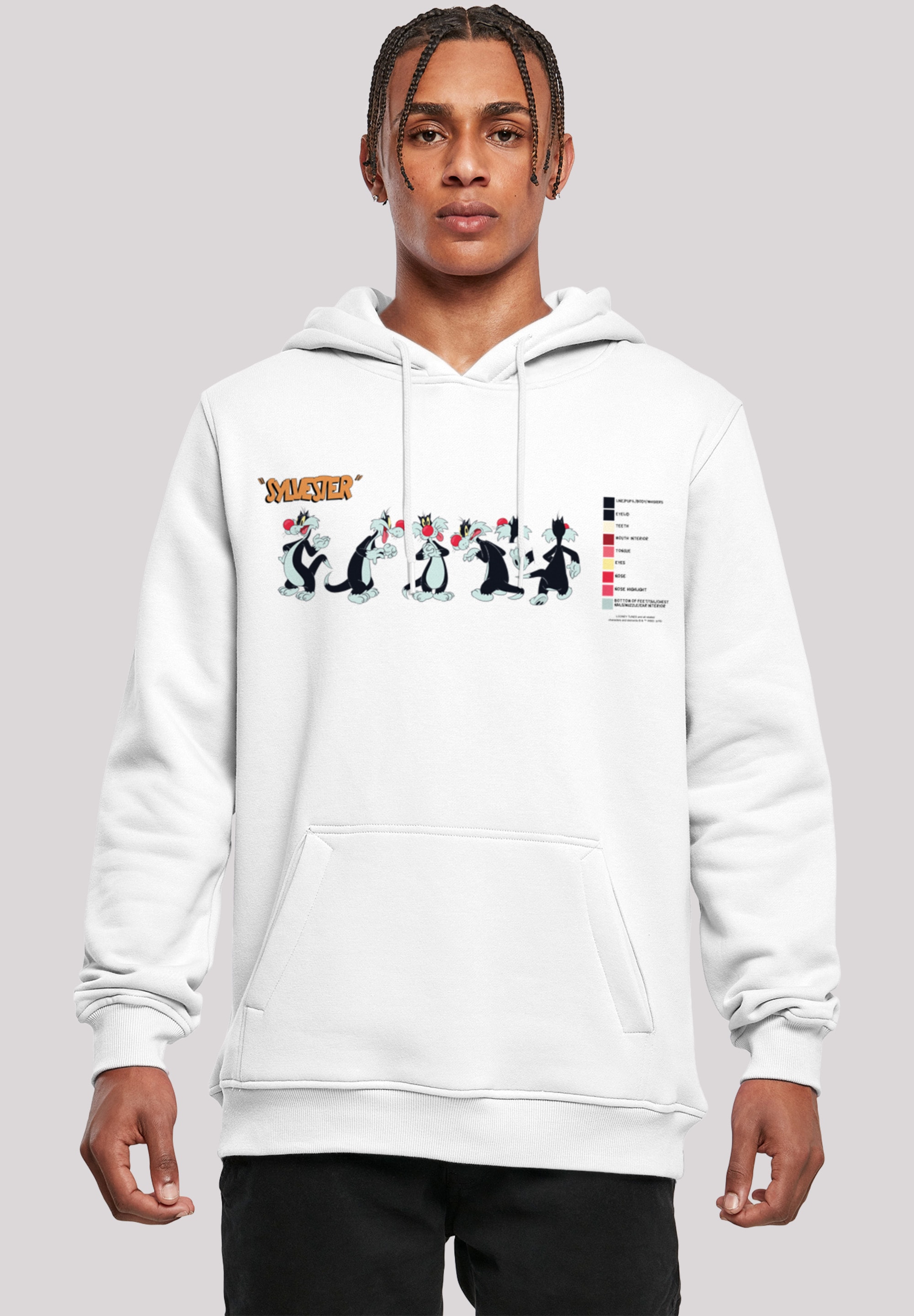 F4NT4STIC Rundhalspullover »F4NT4STIC Herren«, (1 tlg.)