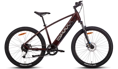 E-Bike »Everest 5.0«, 9 Gang, Shimano, Heckmotor 250 W