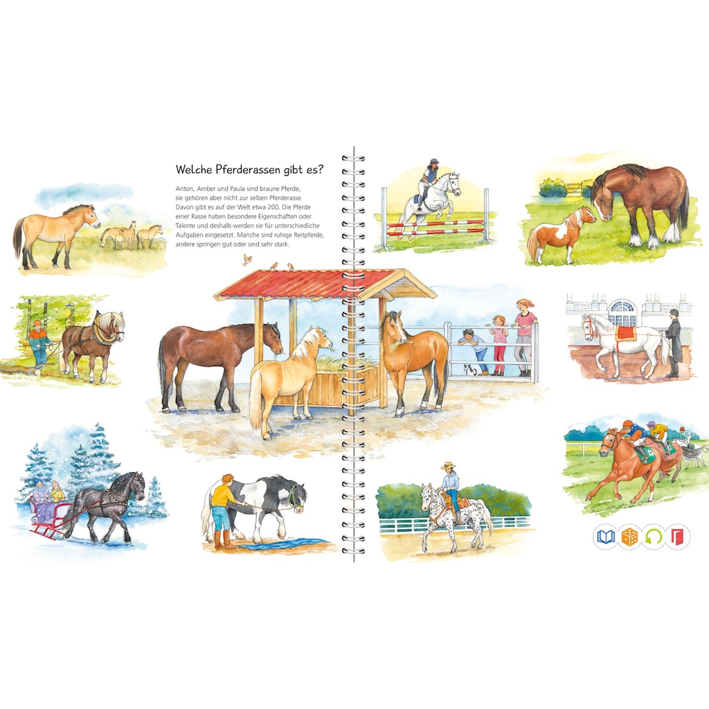 Ravensburger Buch »tiptoi® Wieso? Weshalb? Warum? Wir entdecken Pferde und Ponys«