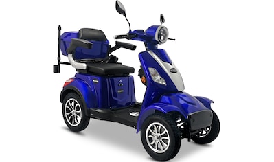 Rolektro Elektromobil »Rolektro E-Quad 25 V.3, Lithium Akku«, 25 km/h, (mit Topcase) kaufen