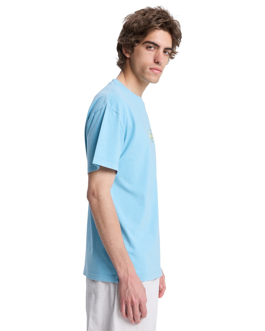 Quiksilver T-Shirt »Nd Nature Magic«