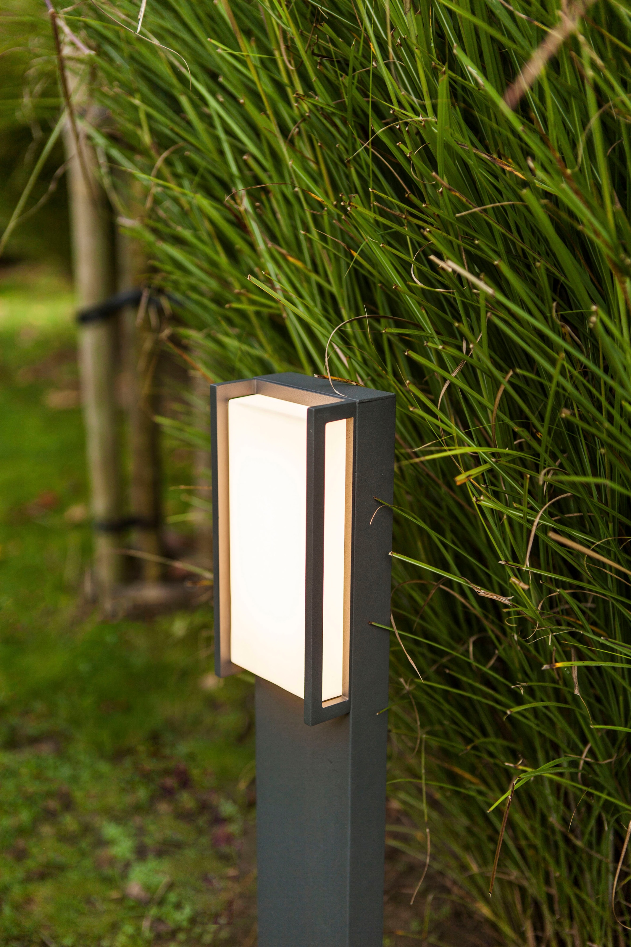 LED-Leuchte Smart-Home »QUBO«, Smarte LUTEC kaufen | BAUR