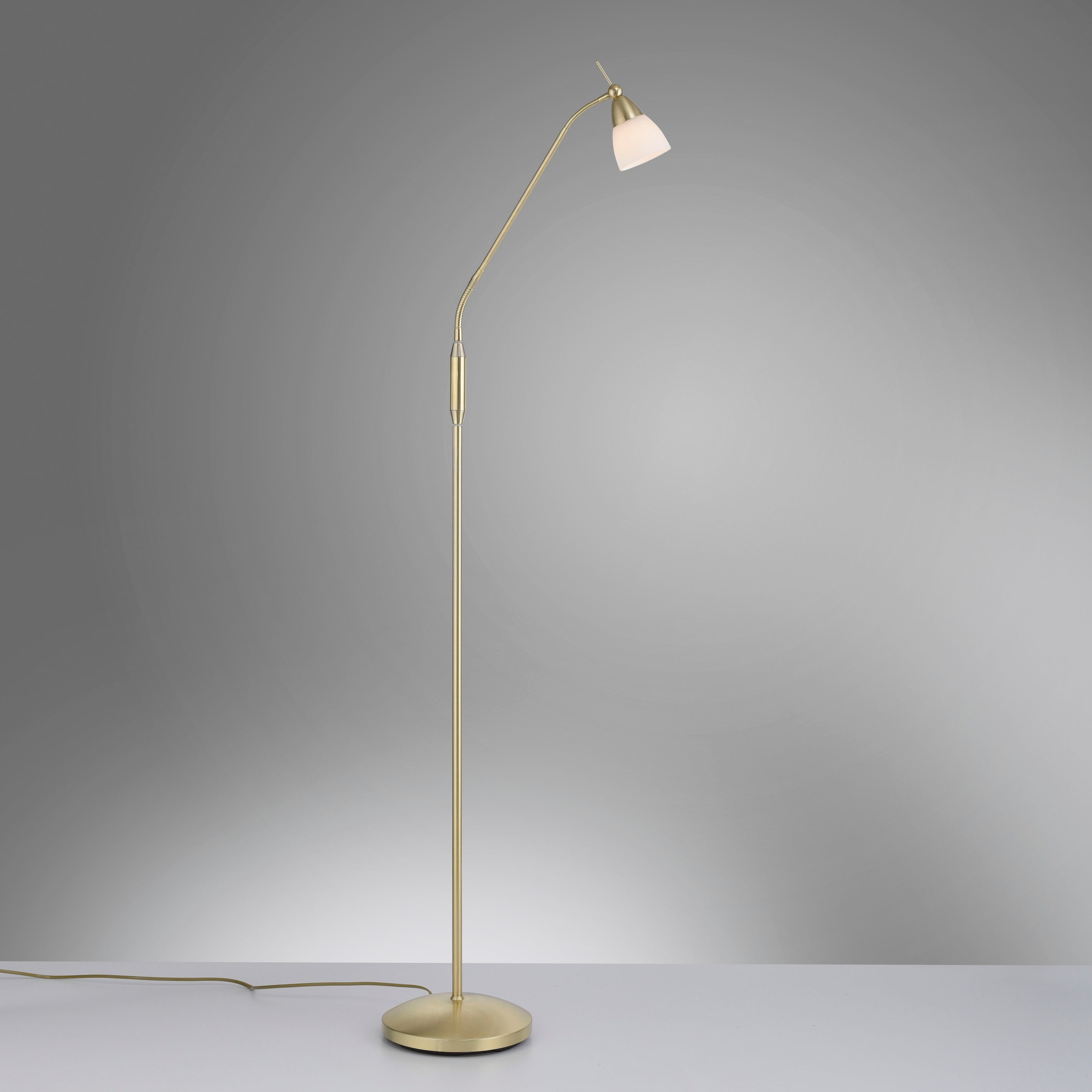 Paul Neuhaus Stehlampe »PINO«, 1 flammig, Leuchtmittel G9 | LED wechselbar