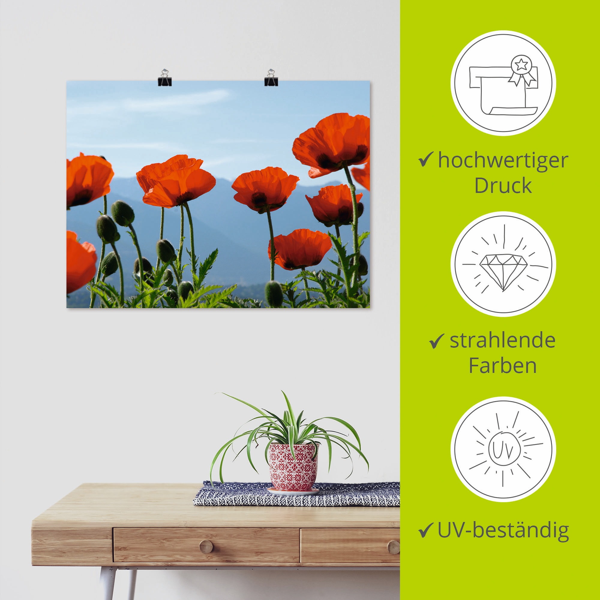 Artland Wandbild »Mohnblüten«, Blumen, (1 St.), als Leinwandbild, Poster in verschied. Größen