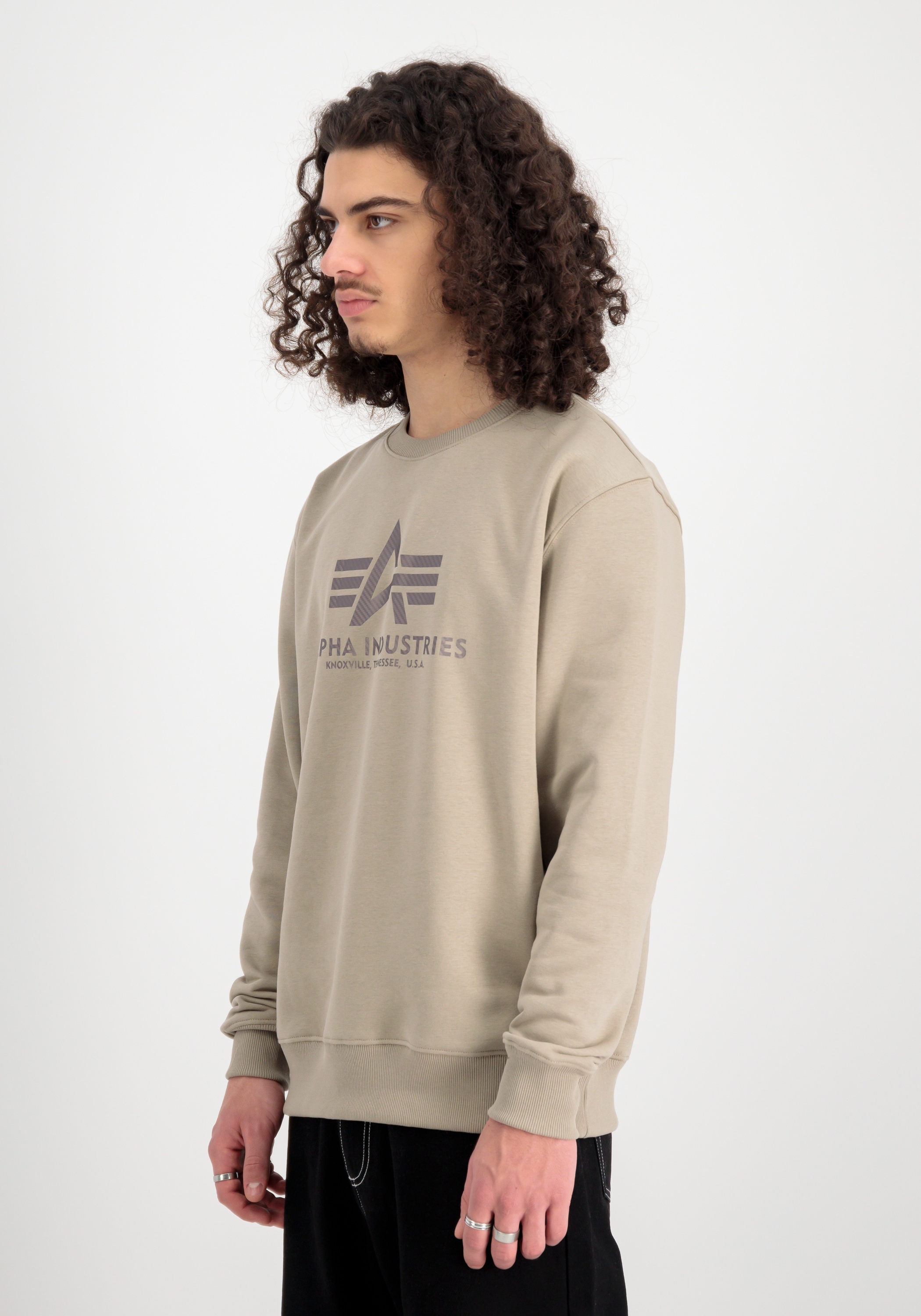 Alpha Industries Sweater "Basic Sweatshirt Carbon" günstig online kaufen