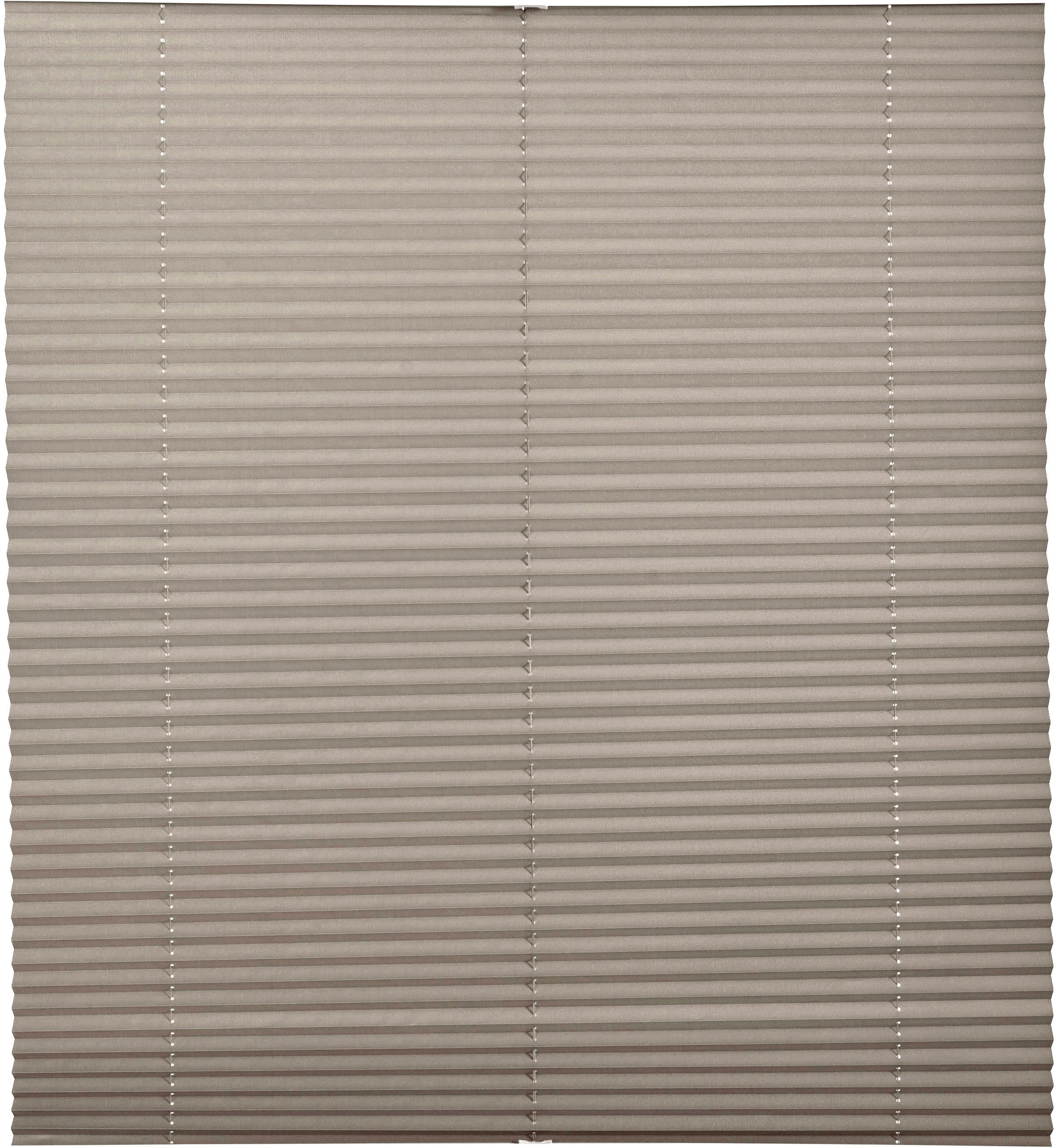 Bruno Banani Plissee "Lagos" Lichtschutz ohne Bohren verspannt Fixmaß, Best günstig online kaufen