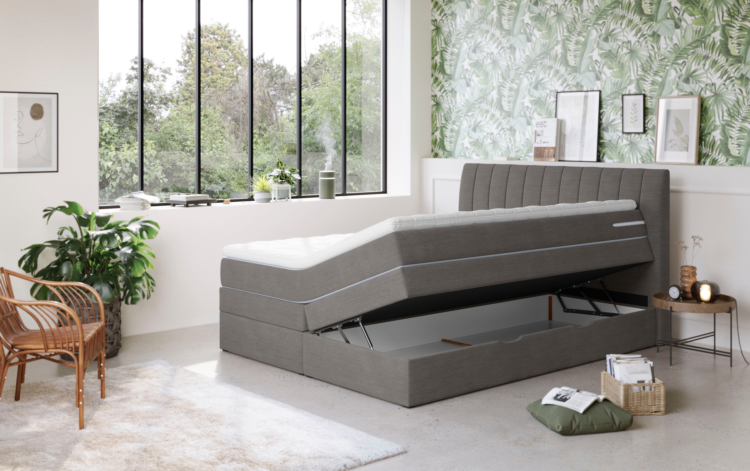 Thumbnail - COTTA Boxspringbett "Shark inkl. Bettkasten und Topper" erhältlich in den Breiten 140x200cm, 160x200cm und 180x200cm