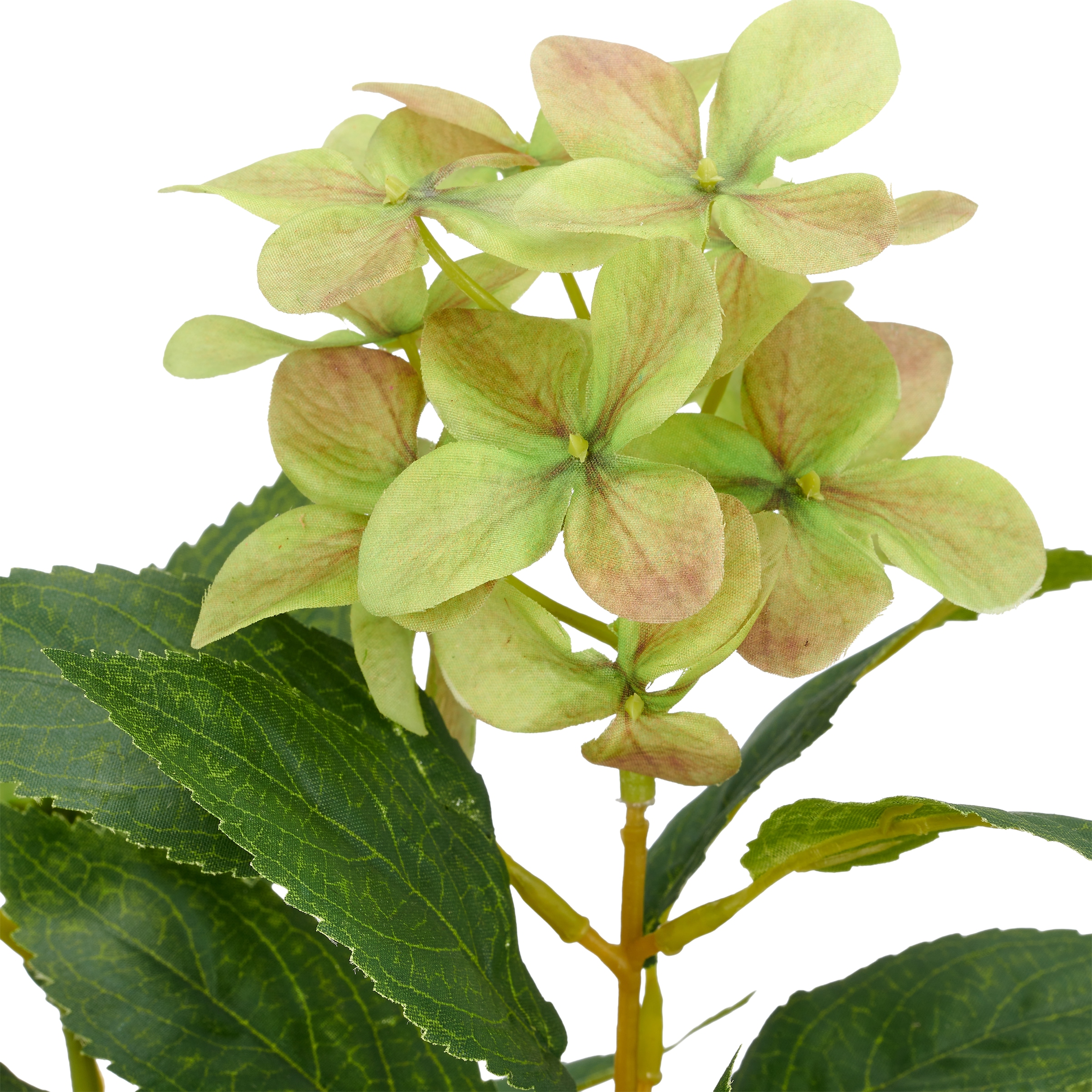 Creativ green Kunstpflanze »Hortensie paniculata« mit 8 Real-Touch-Blüten