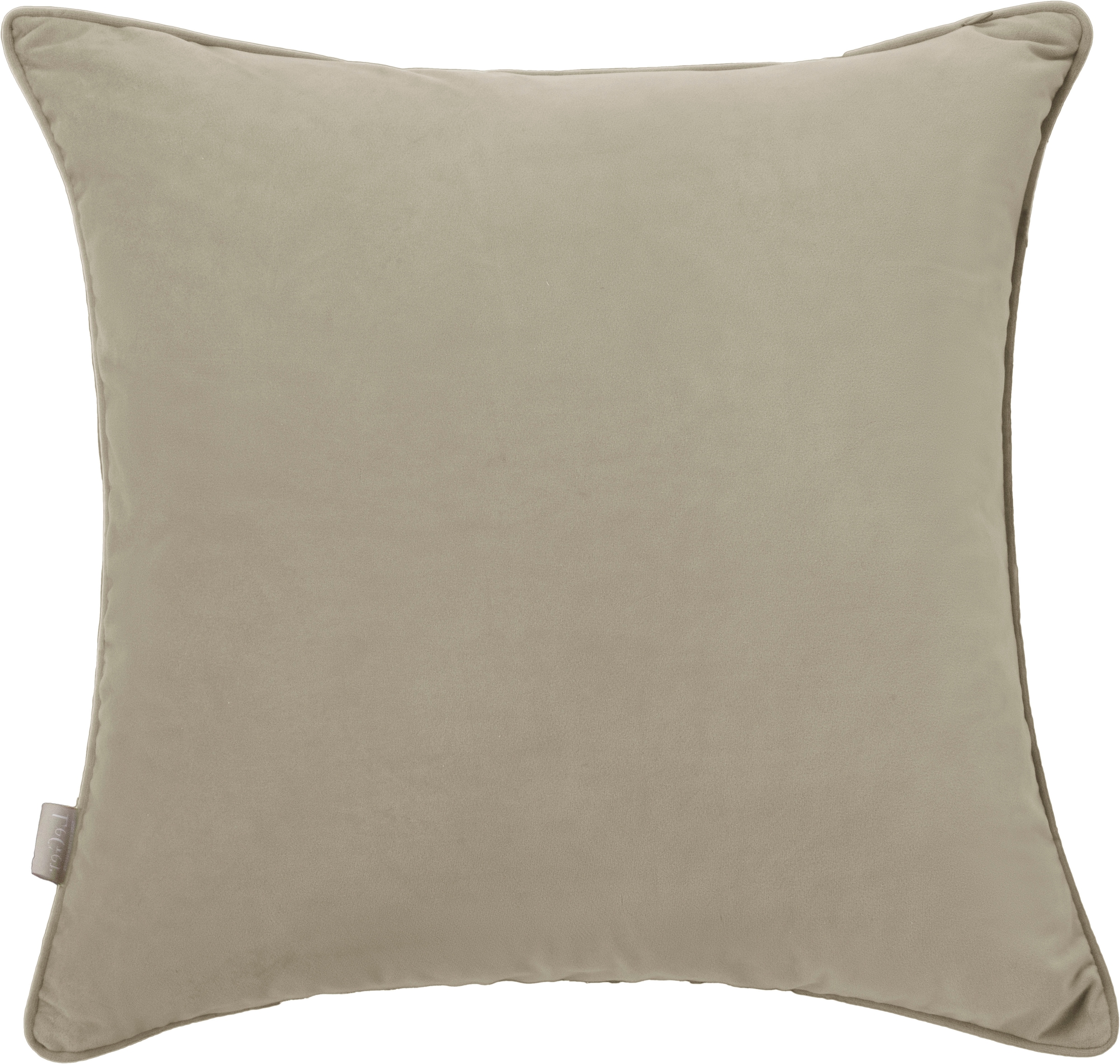 LeGer Home by Lena Gercke Dekokissen »Samt Ladina 2« kuschelig, ohne Füllung