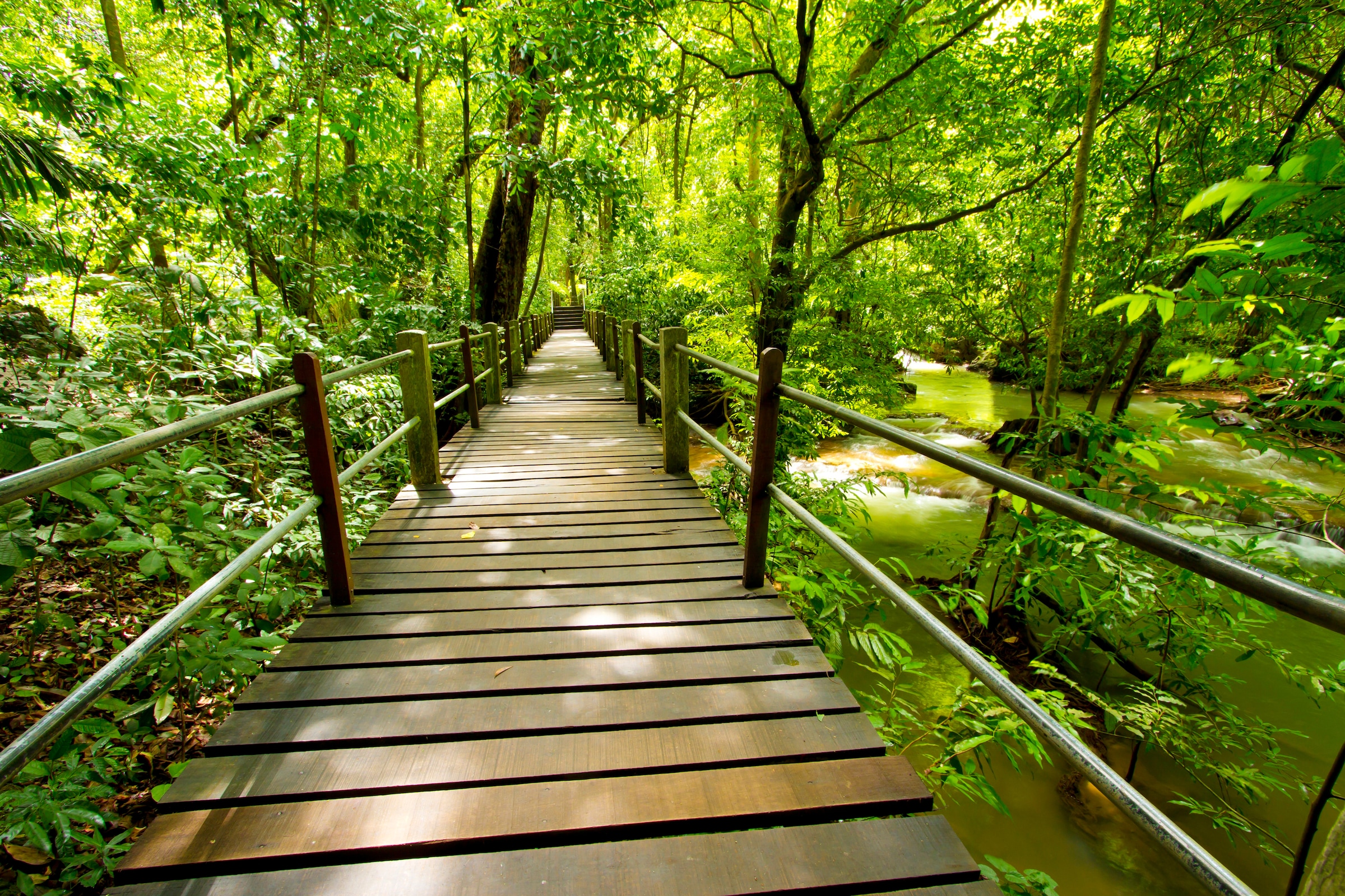 Papermoon Fototapete "Bridge Walk" glatt