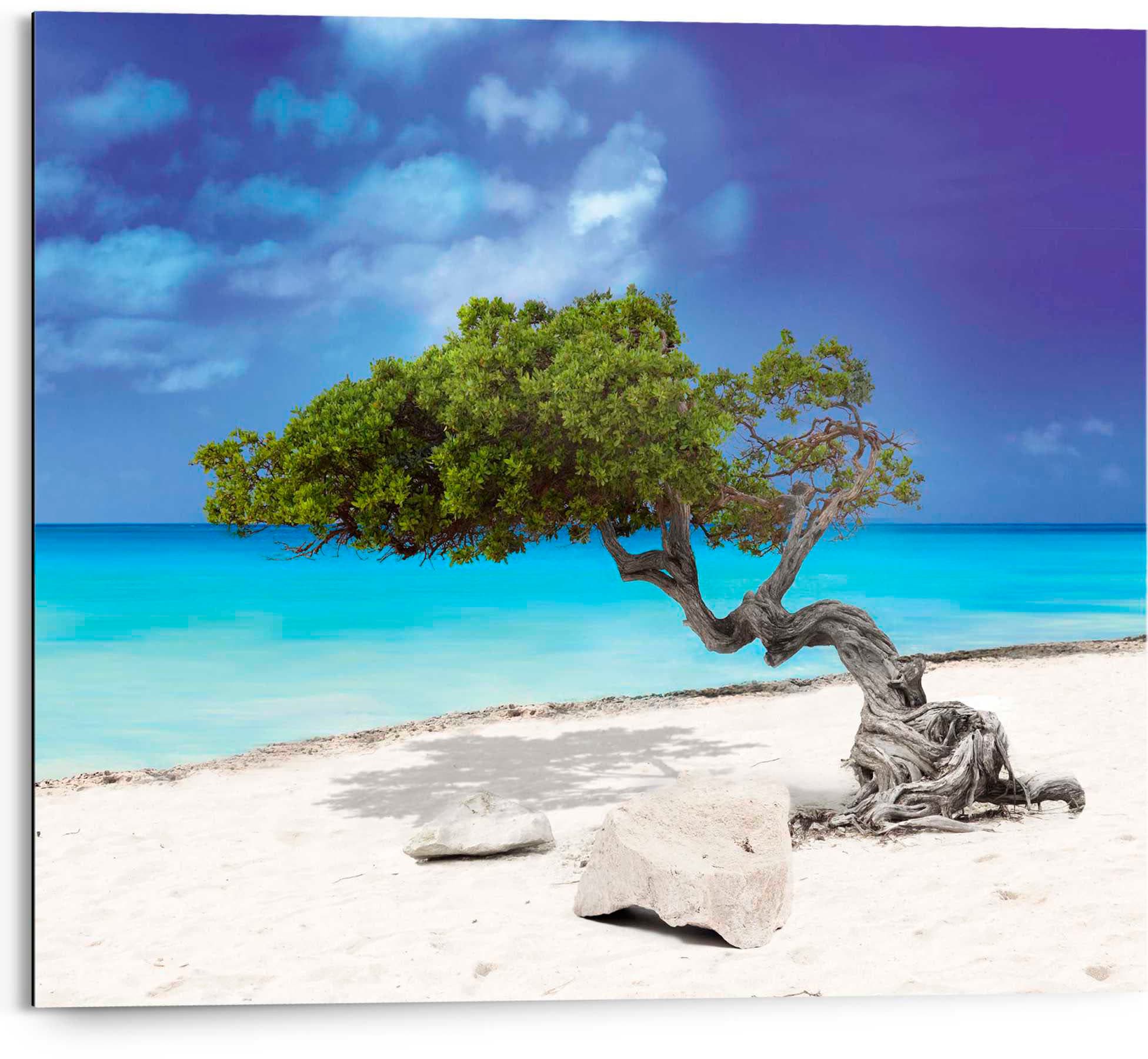 Reinders! Deco-Panel »Tropische Insel«