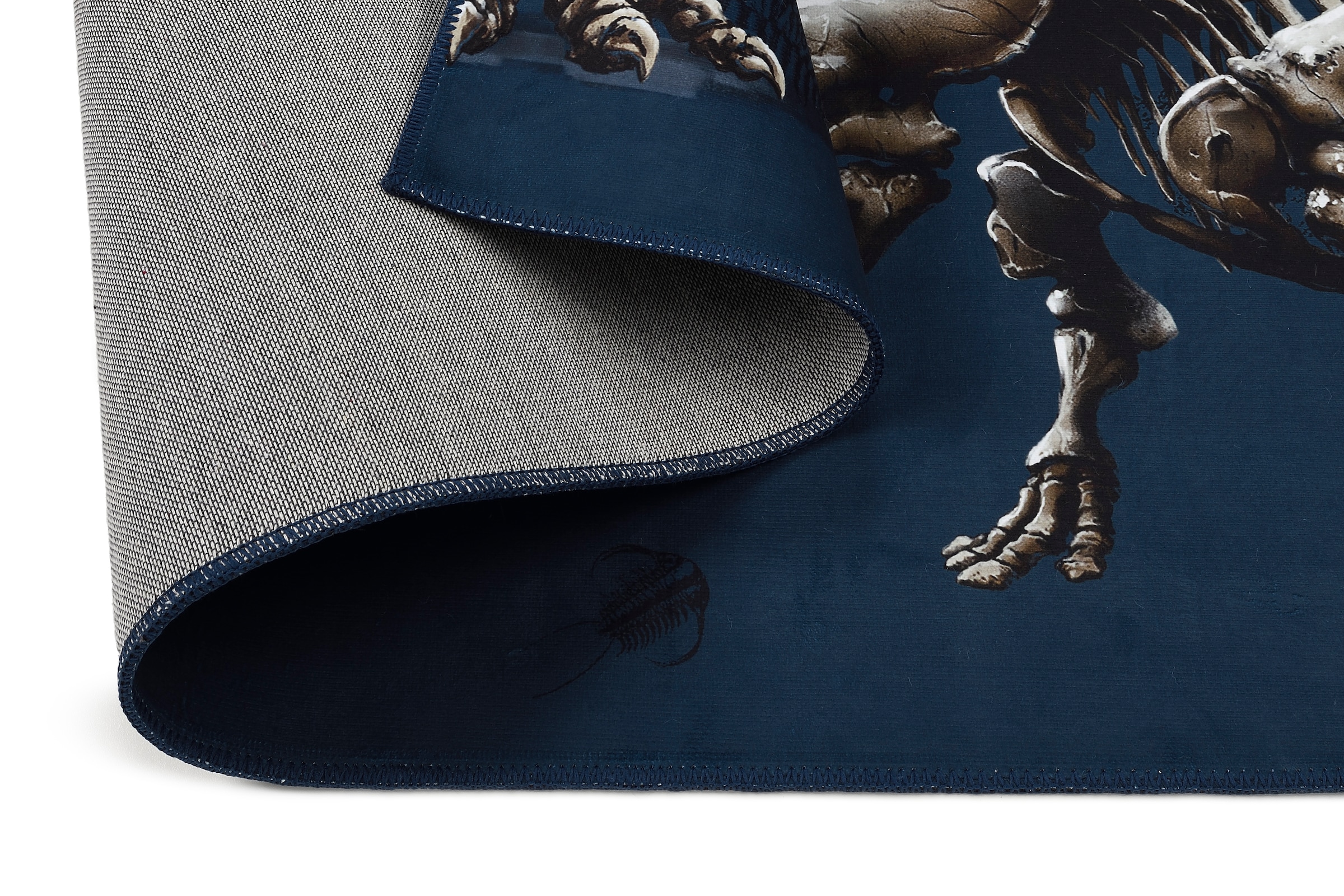 Böing Carpet Kinderteppich »T-Rex World 831«, rechteckig, 6 mm Höhe, Motiv T-Rex, Dinosaurier Skelett