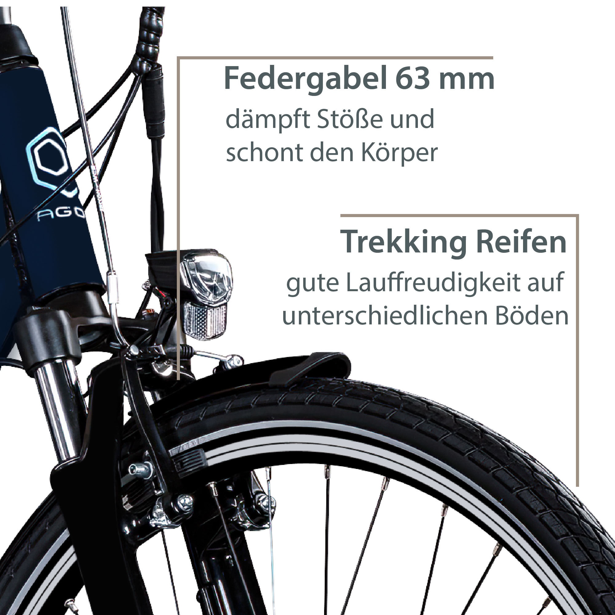 AGON E-Bike »Avesa«, 21 Gang, Heckmotor 250 W, Pedelec, Elektrofahrrad für Damen u. Herren