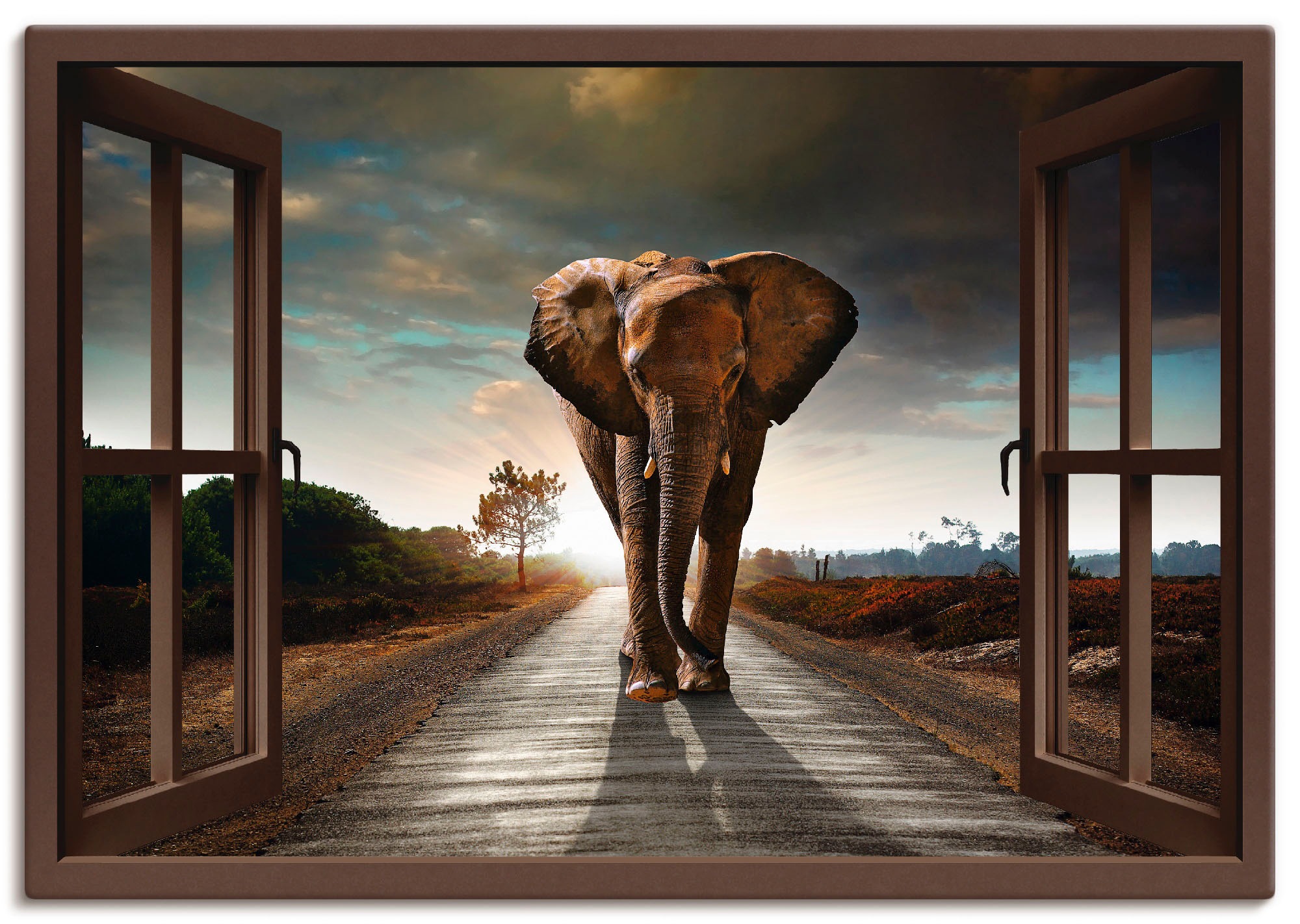 Artland Leinwandbild "Elefant auf Straße - braunes Fenster" Fensterblick 1 Stk. tlg. auf Holzrahmen gespannt