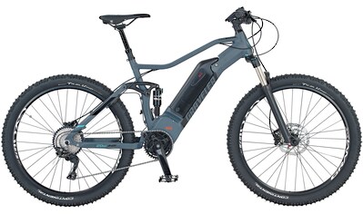 E-Bike »Graveler 22.ETM.20«, 10 Gang, Shimano, Deore XT, Mittelmotor 250 W