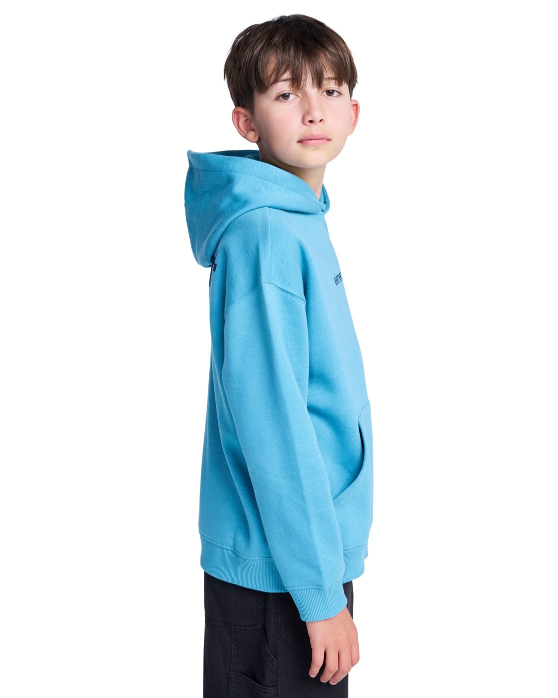 Element Kapuzensweatshirt »Lowcase Bp«