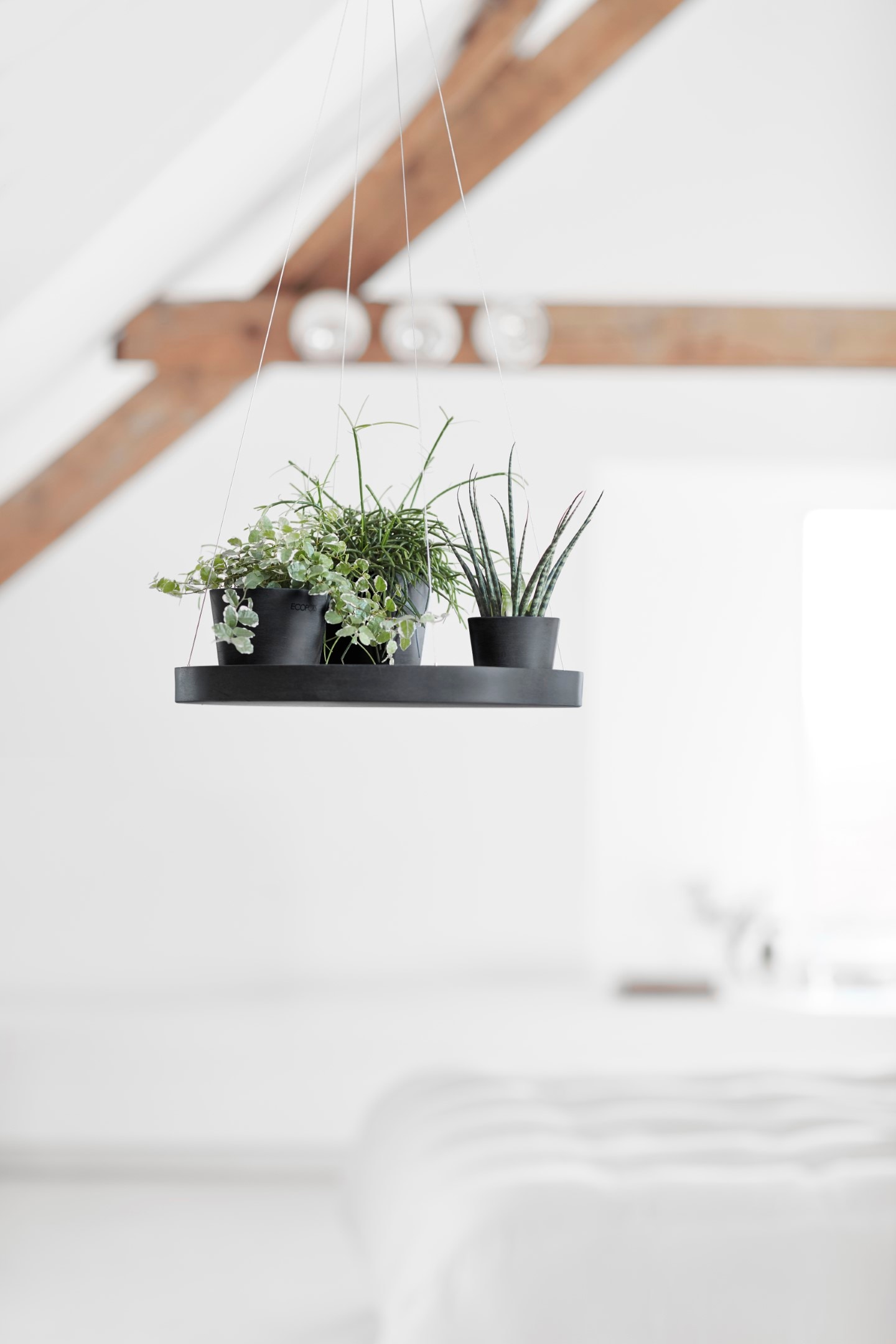 ECOPOTS Blumentopfuntersetzer »HANGING SAUCER Dark Grey«, BxTxH: 36x36x3 cm