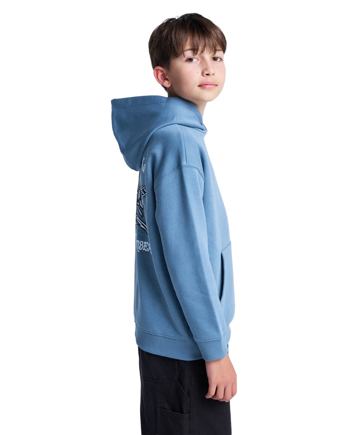 Element Kapuzensweatshirt »Timber Hobos«