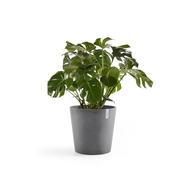 ECOPOTS Blumentopf »Amsterdam«, ØxH: 60x54,8 cm kaufen | BAUR