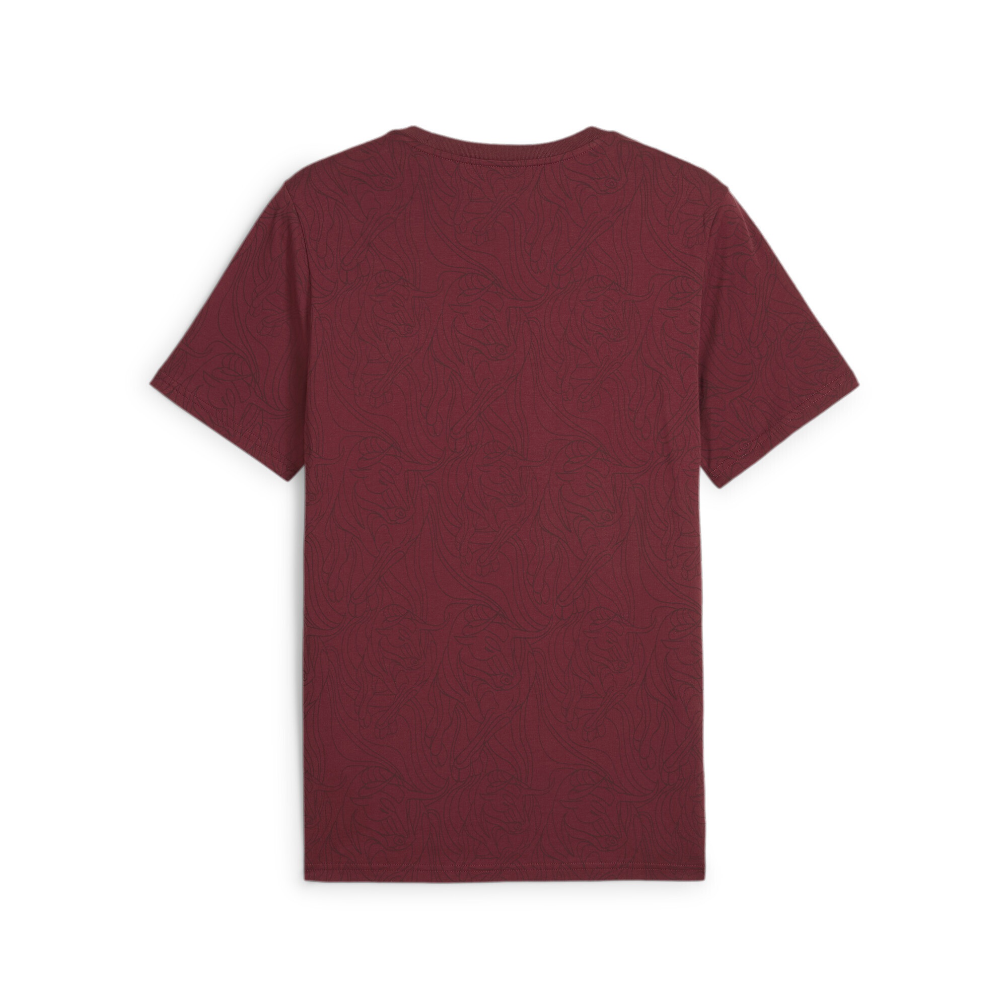 PUMA T-Shirt »FC Red Bull Salzburg ftblCULTURE T-Shirt mit Allover-Print«