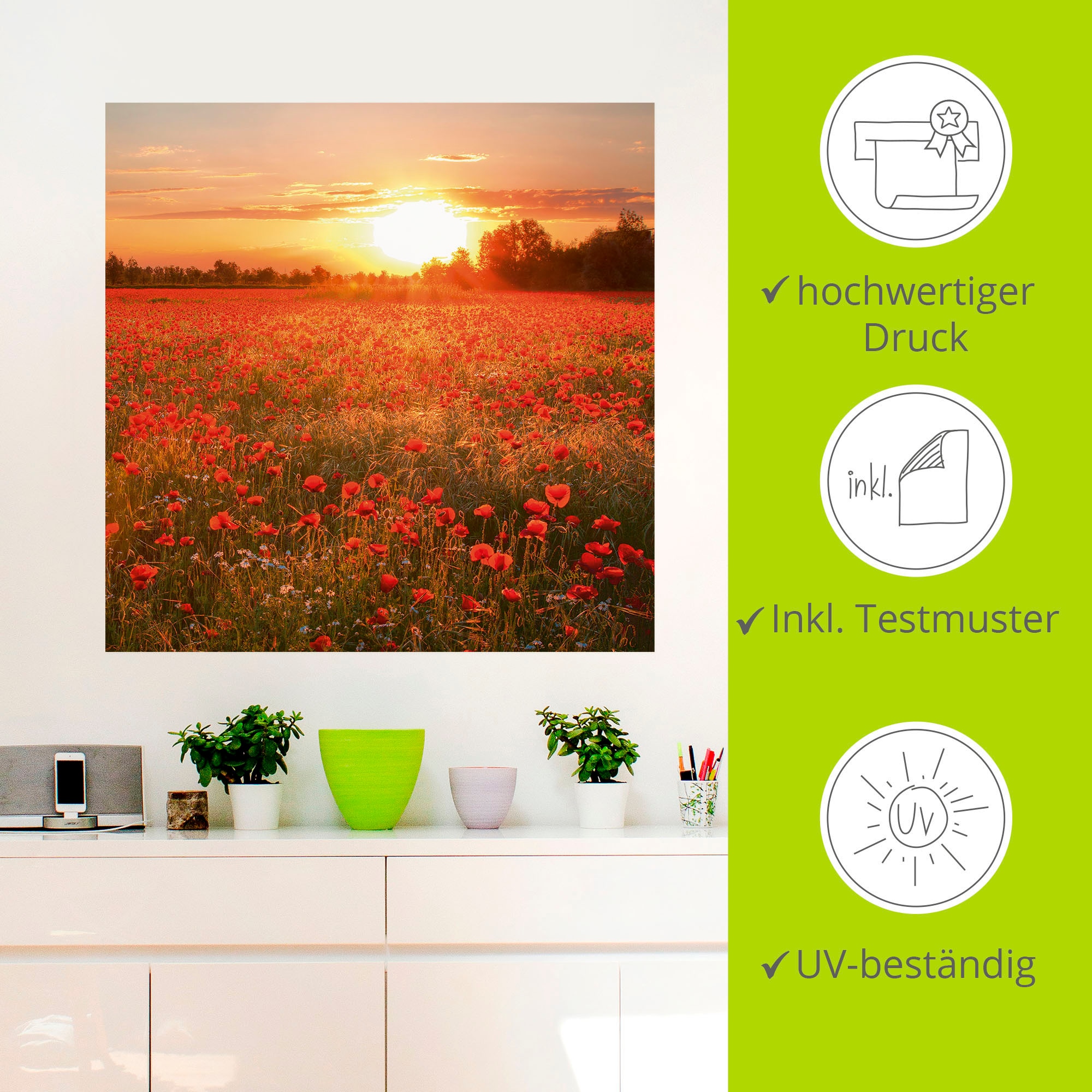 Artland Wandbild »Mohnblumenfeld bei Sonnenuntergang«, Blumenbilder, (1 St.), gedruckt