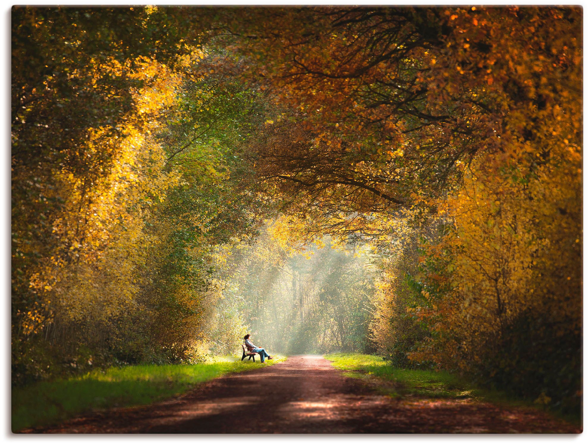 Artland Leinwandbild "Licht am Ende des Tunnels..." Wald 1 Stk. tlg. auf Holzrahmen gespannt