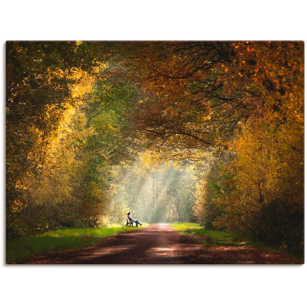 Artland Wandbild »Licht am Ende des Tunnels...«, Wald, (1 St.)