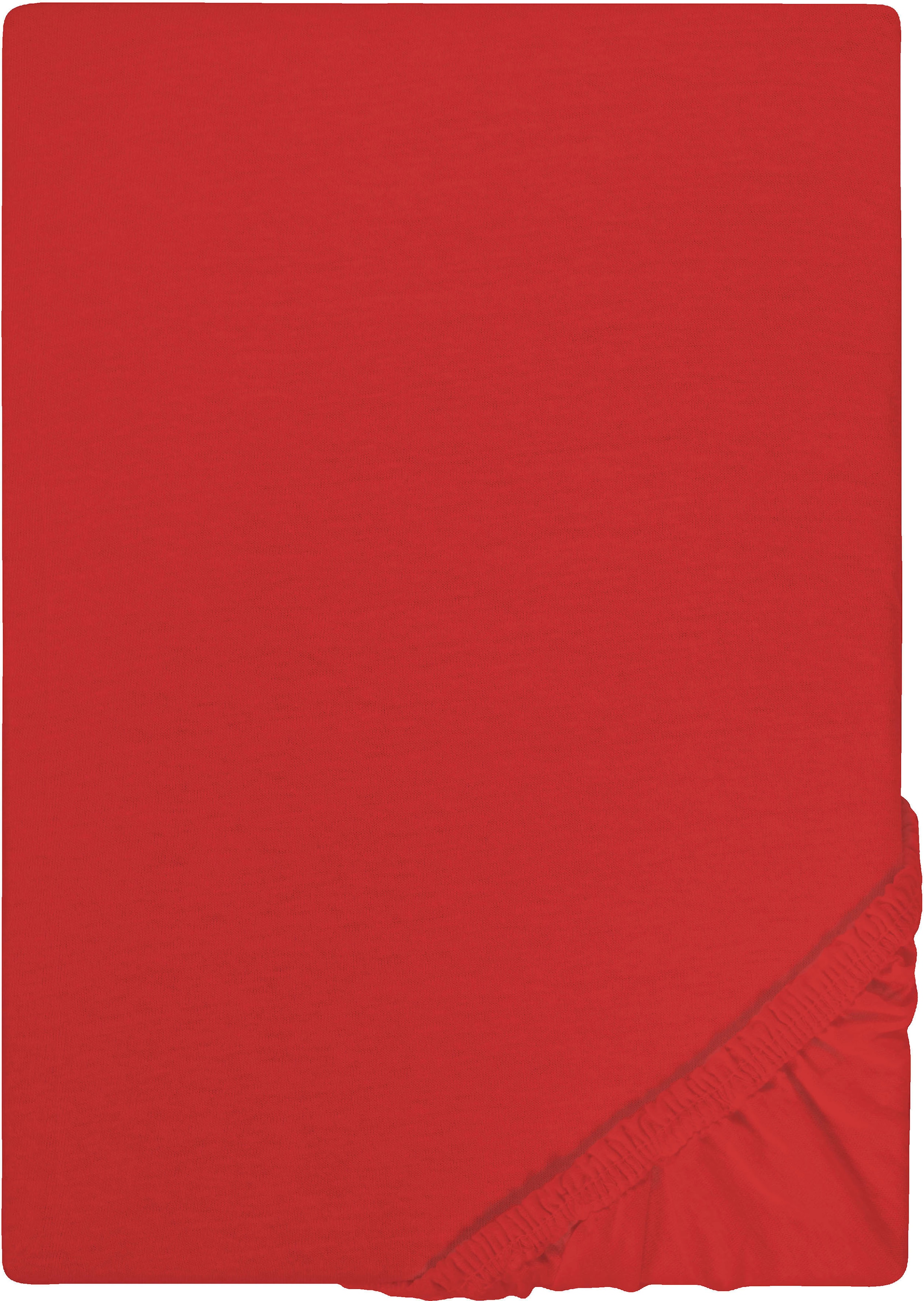 Castell - Markenbettwäsche Spannbettlaken "Jersey in Gr. 90x200, 140x200 oder 180x200 cm" aus Baumwolle, für Matratzen bis 22 cm Höhe, Bettlaken, Spannbetttuch