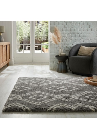 FLAIR RUGS Ilgo plauko kilimas »ATLAS« rechteckig...