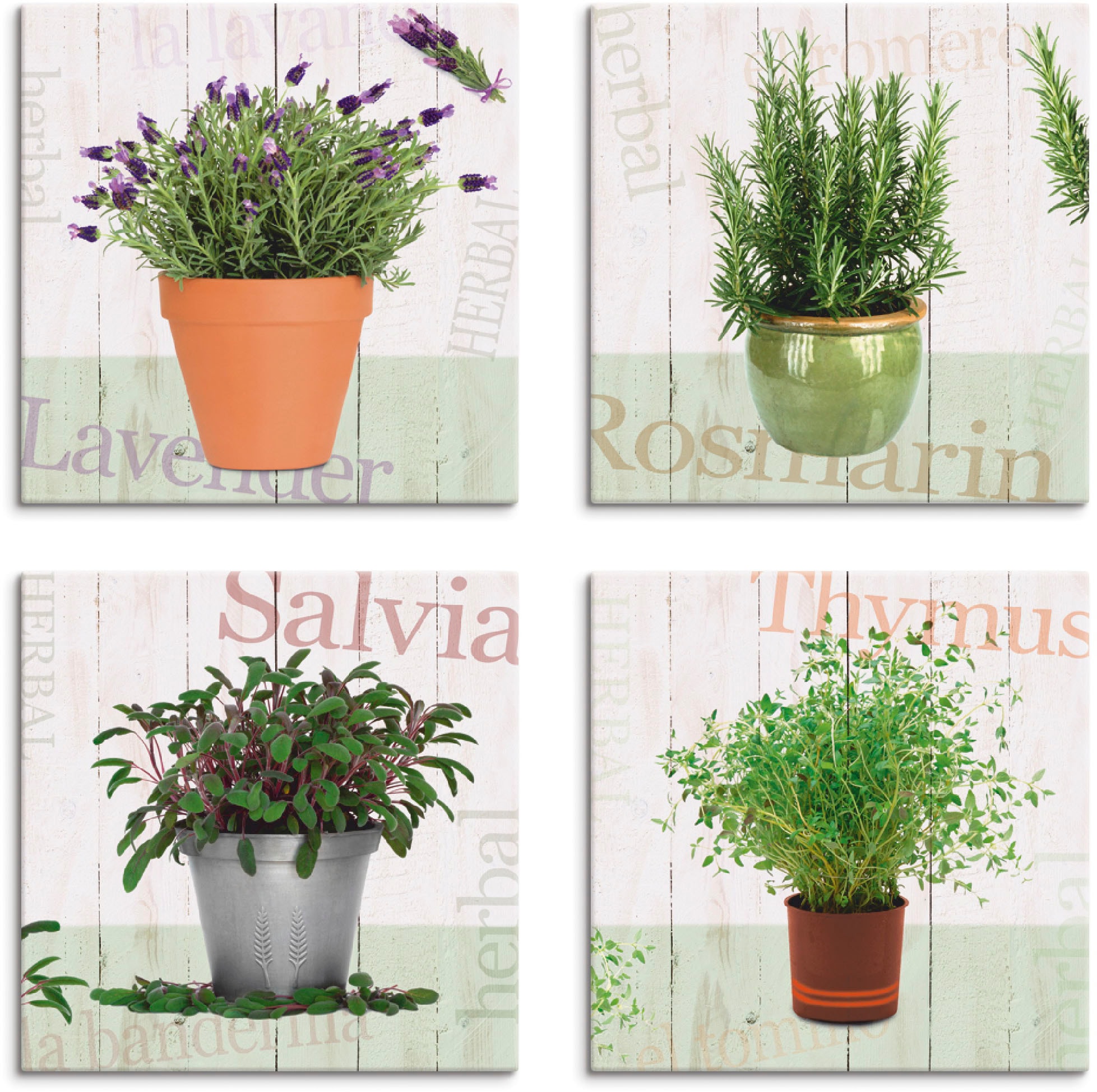 Artland Leinwandbild »Lavendel, Rosmarin, Salbei, Thymian«, Pflanzen, (4 St.), 4er Set, verschiedene Größen