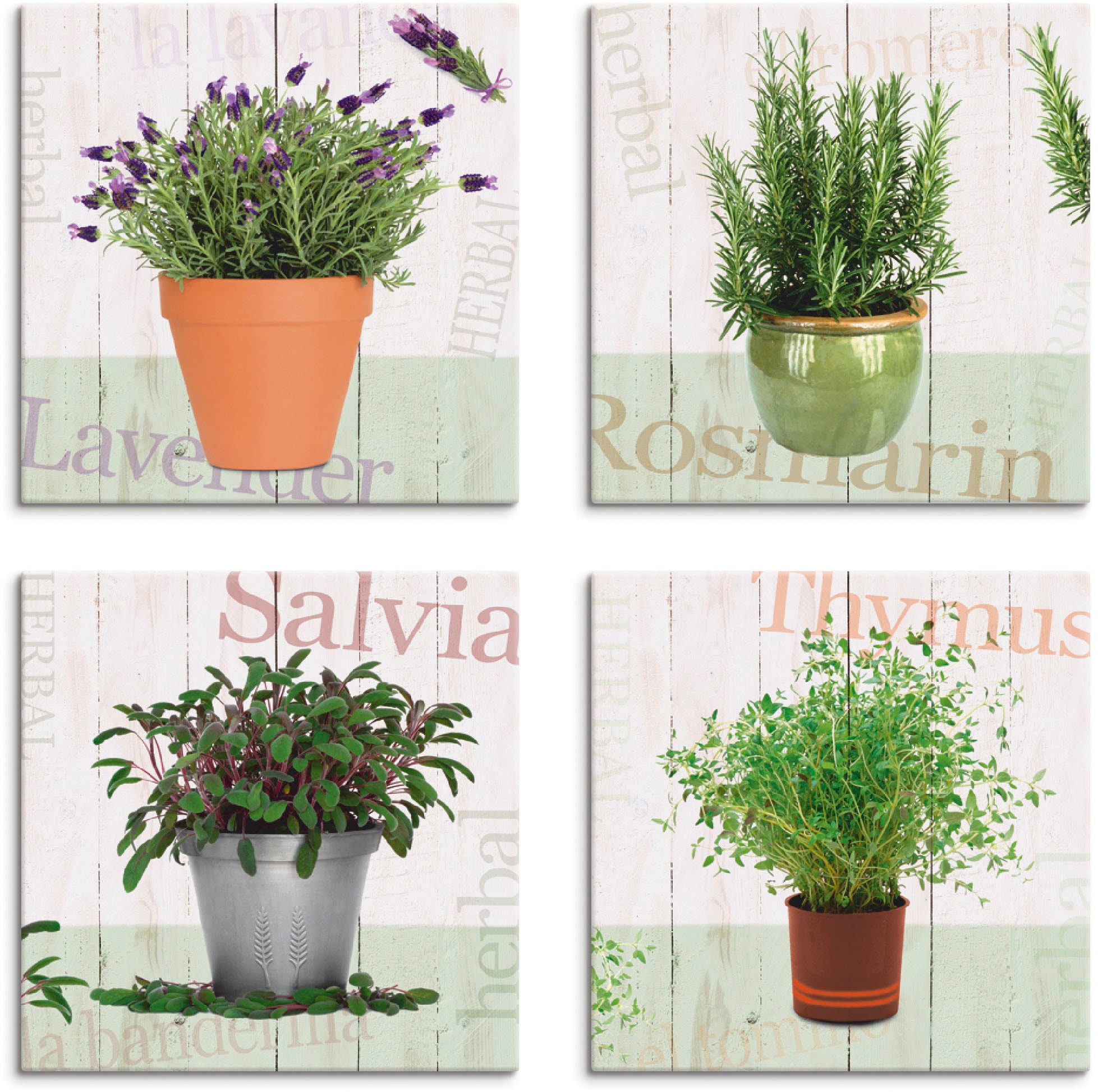 Artland Leinwandbild "Lavendel, Rosmarin, Salbei, Thymian" Pflanzen 4 Stk. günstig online kaufen
