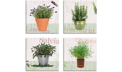 Leinwandbild »Lavendel, Rosmarin, Salbei, Thymian«, Pflanzen, (4 St.)