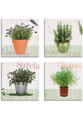 Leinwandbild »Lavendel, Rosmarin, Salbei, Thymian«, Pflanzen, (4 St.)