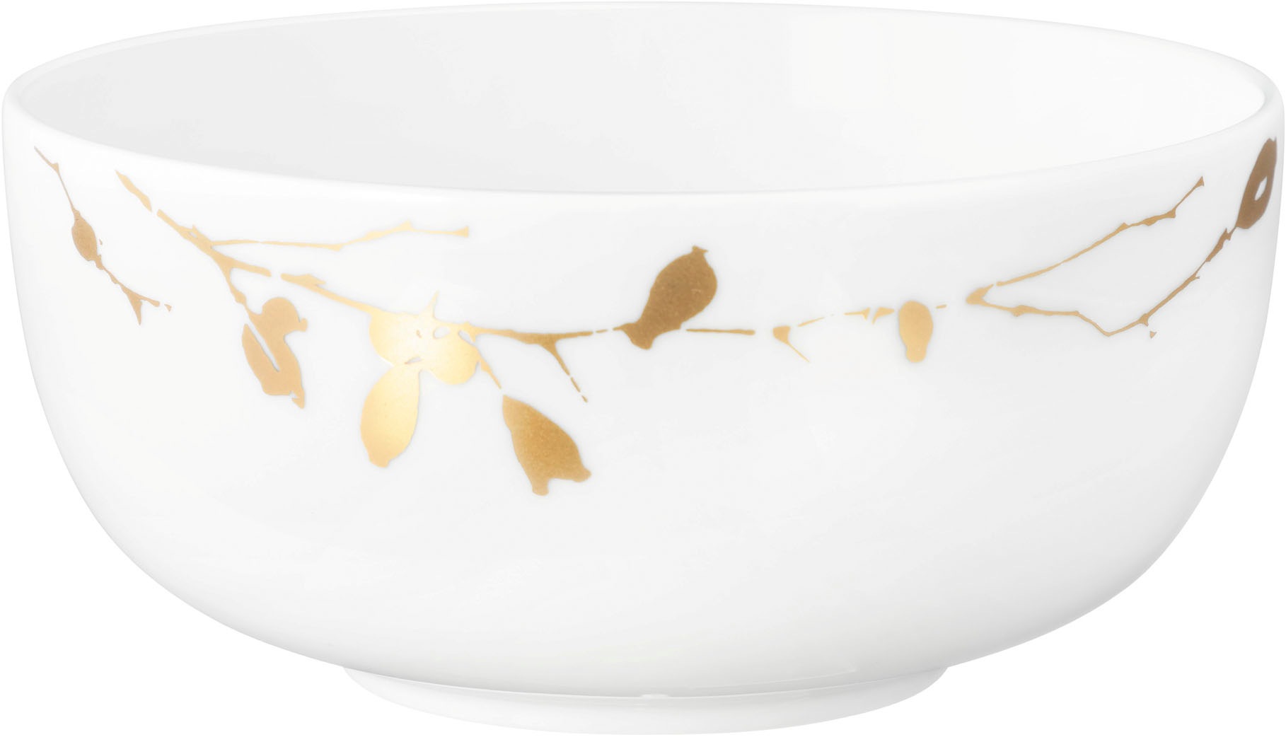 Seltmann Weiden Müslischale "Liberty - Golden Rose Hip" 1 Stk. aus Porzellan Schale 15 cm