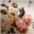 Rose beige