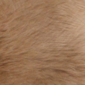 Stuhlkissen HEITMANN FELLE "Lamm, Sitzauflage eckig", braun (camelfarben, felloptik unifarben), B:44cm H:5cm L:44cm, Lammfell, Dekokissen_Sitzkissen_Kissenhüllen, Stuhlkissen, 44x44 cm, echtes Lammfell, waschbar, auch als 2er oder 4er Set 2