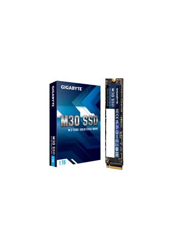 Gigabyte Interne SSD »M30«