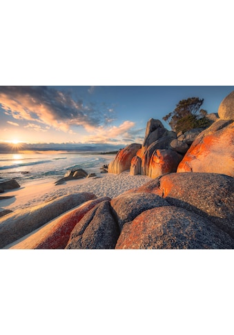 Komar Vliestapete »Bay of Fires« 400x280 cm ...