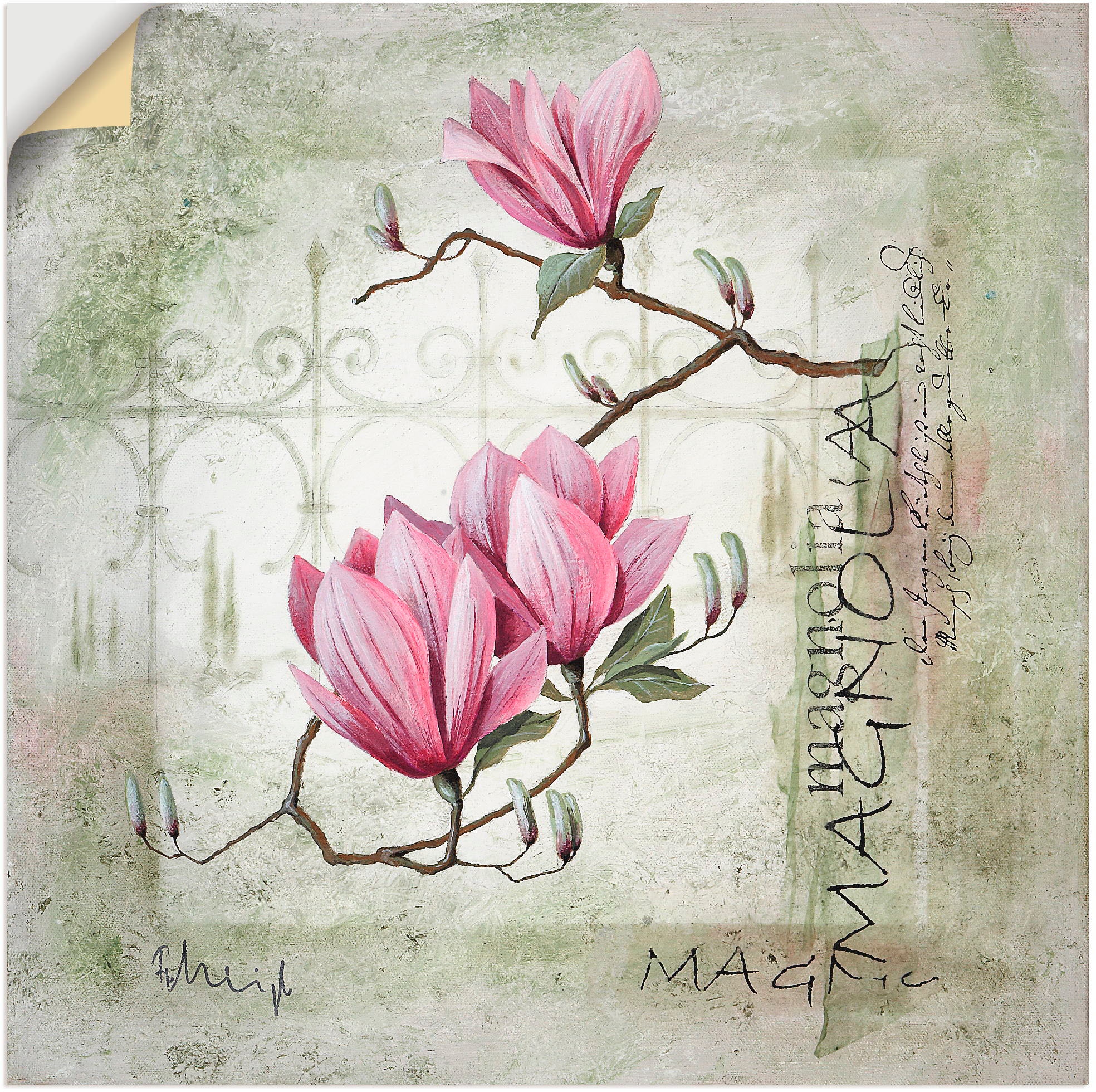 Artland Wandbild "Pinke Magnolie", Blumen, (1 St.), als Leinwandbild, Poster, Wandaufkleber in verschied. Größen
