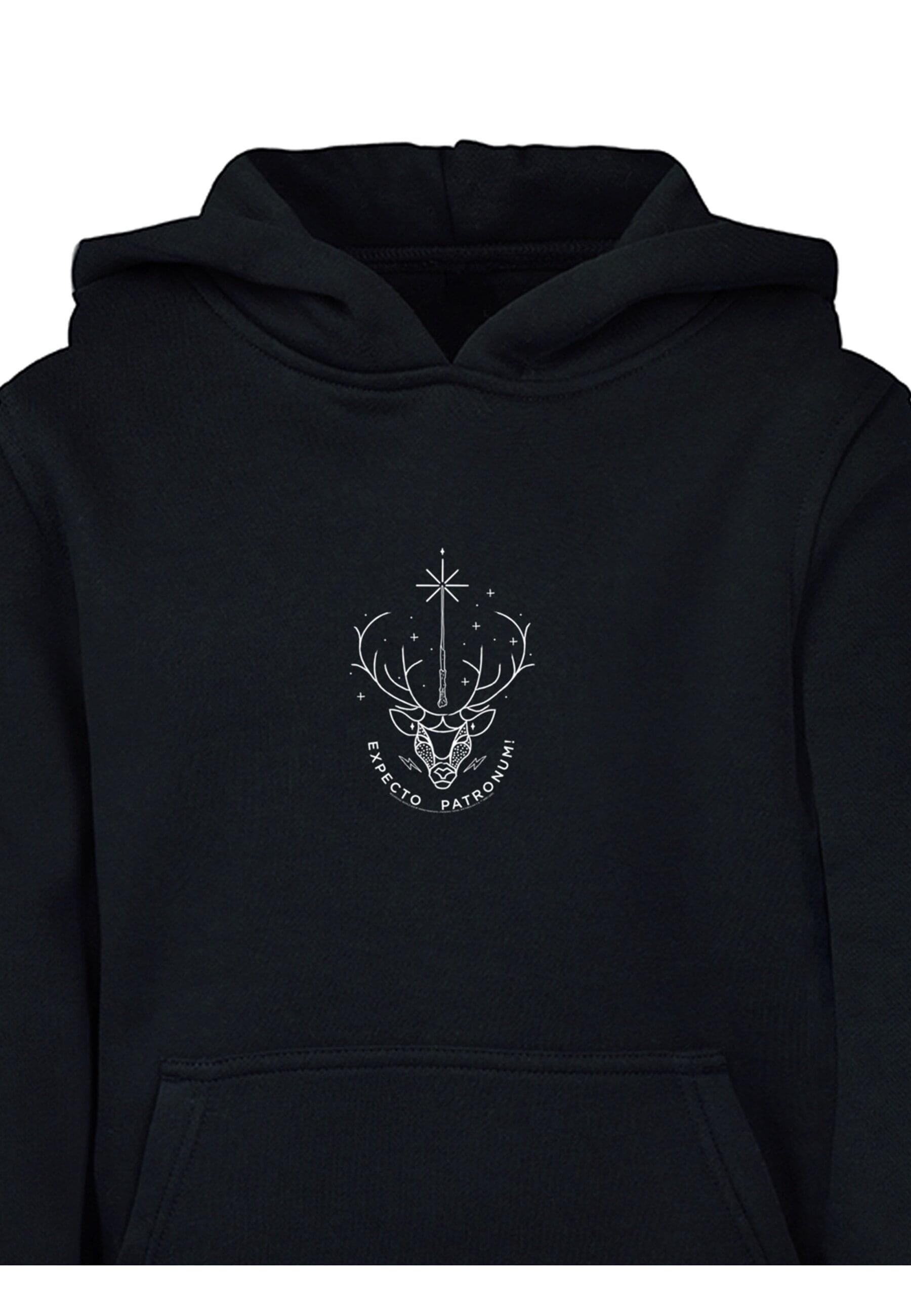 ABSOLUTE CULT Kapuzensweatshirt »ABSOLUTE CULT Herren«, (1 tlg.)