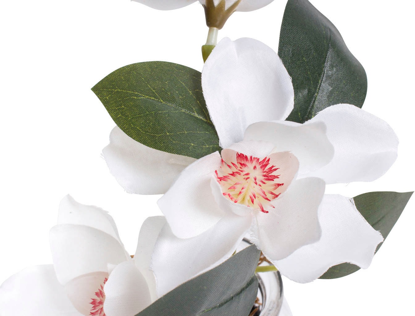 Botanic-Haus Kunstblume "Magnolie im Glas" günstig online kaufen