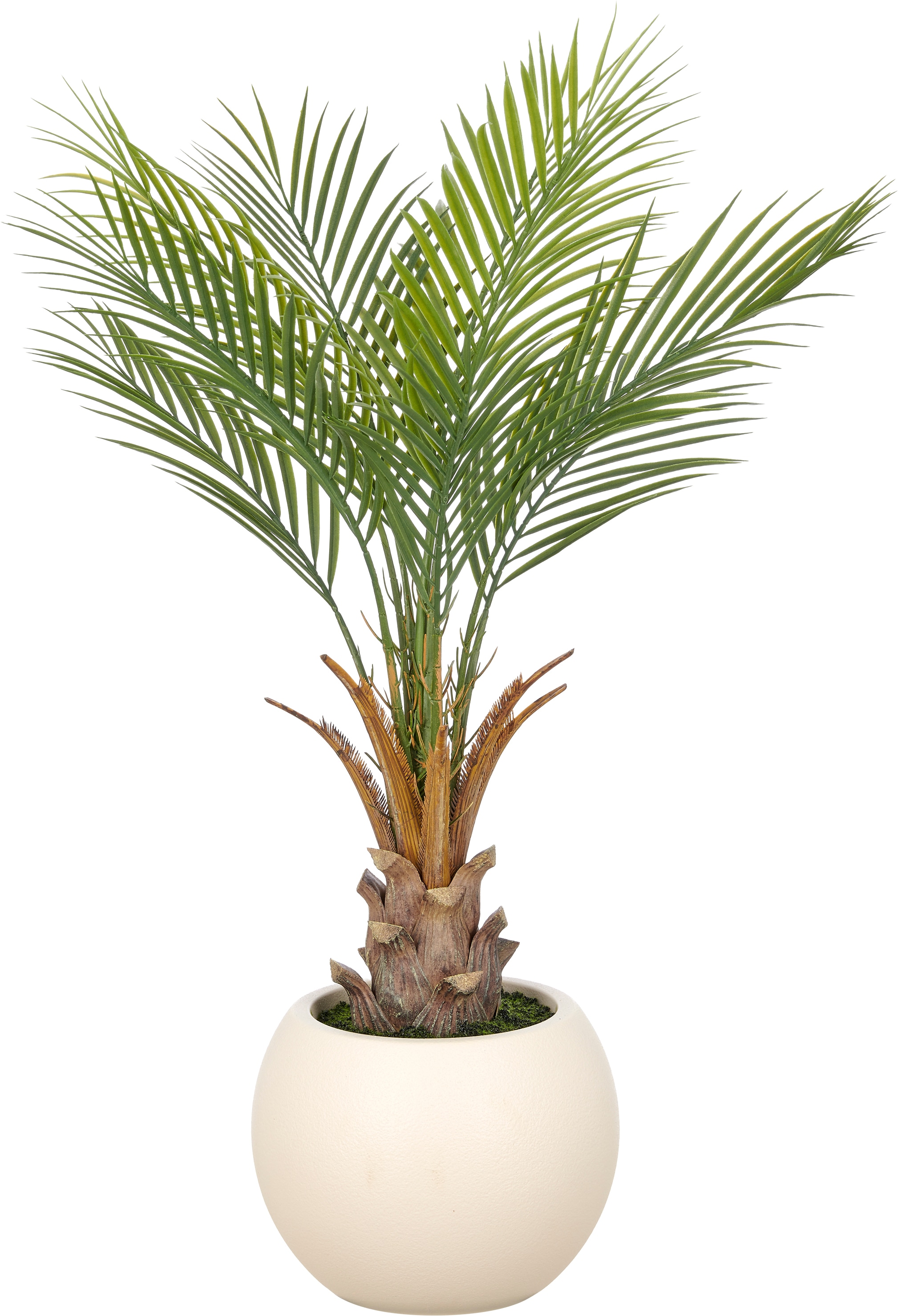 Creativ green Kunstpalme "Phoenixpalme roebelenii" mit naturgetreuen Palmwedeln