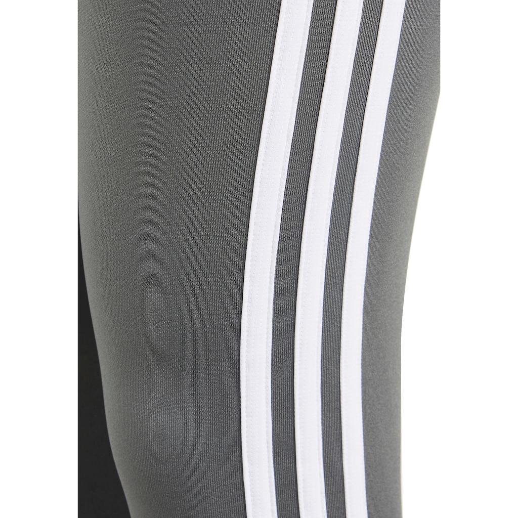 adidas Sportswear Trainingstights »ESSENTIALS AEROREADY 3STREIFEN HIGHWAISTED«, (1 tlg.)