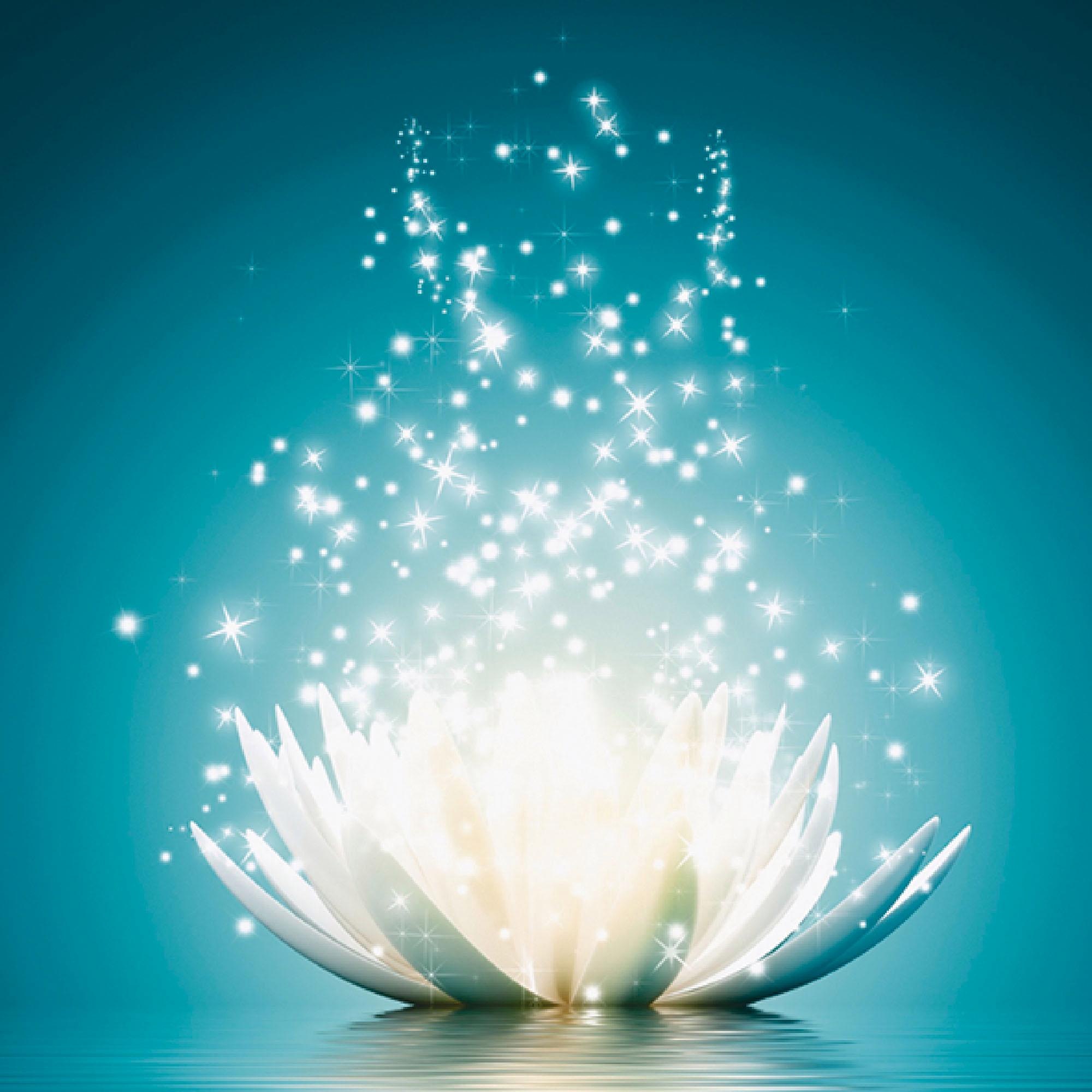 Bild V. Georgiev: Magie der Lotus-Blume