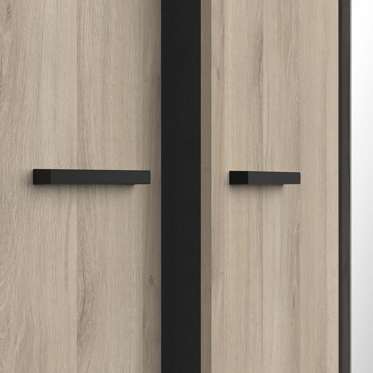 Demeyere GROUP Drehtürenschrank 1 Stk. tlg.
