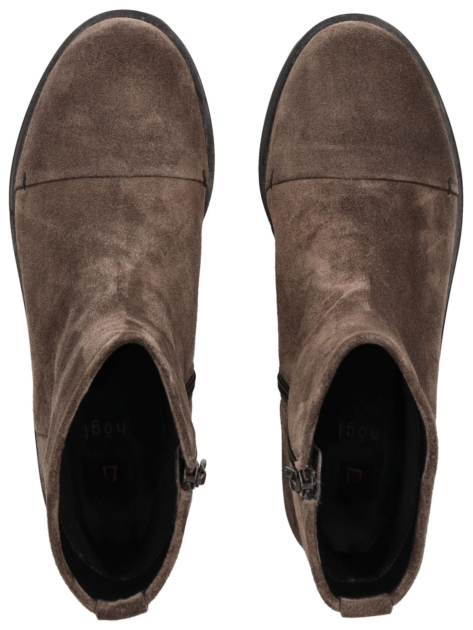 Högl Stiefelette »Högl Stiefelette Veloursleder«