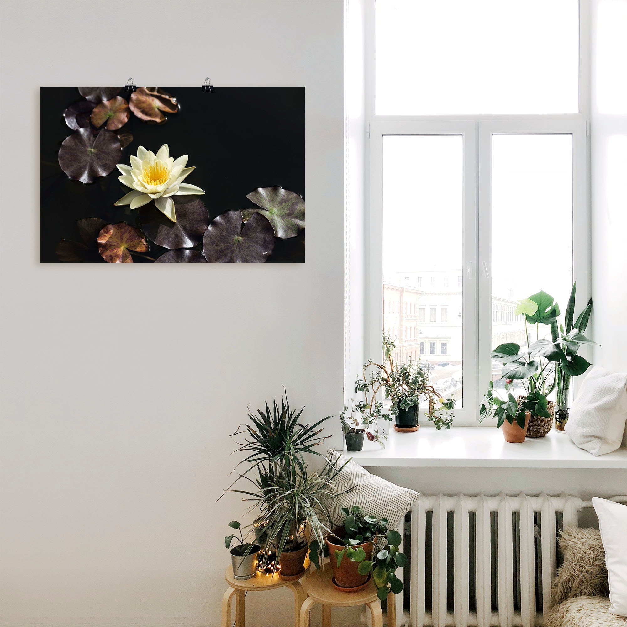 Artland Wandbild »Seerosenbild«, Blumenbilder, Größen | Wandaufkleber versch. (1 BAUR als in bestellen Alubild, Leinwandbild, Poster St.), oder