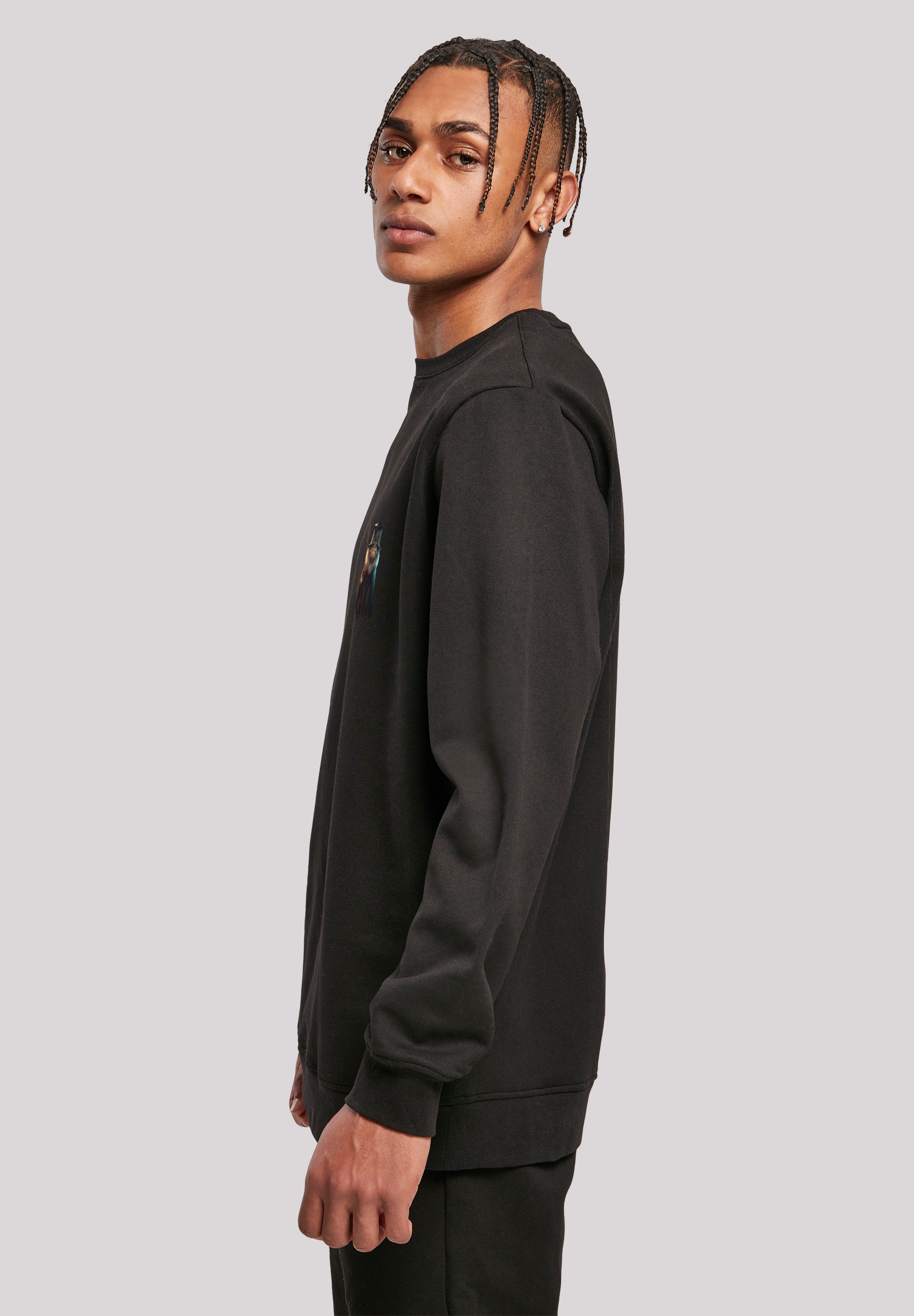 F4NT4STIC Kapuzenpullover »Wizard Cat CREW« Print